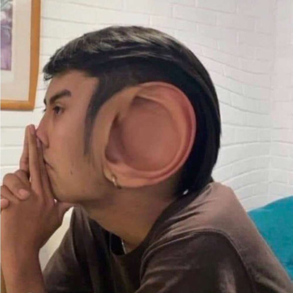 Meet your Posher, Raymond